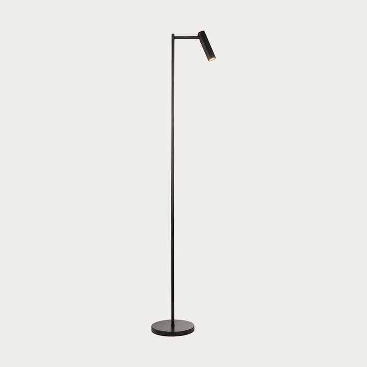 Modern Adjustable Floor Lamp with Push-Button Dimmer