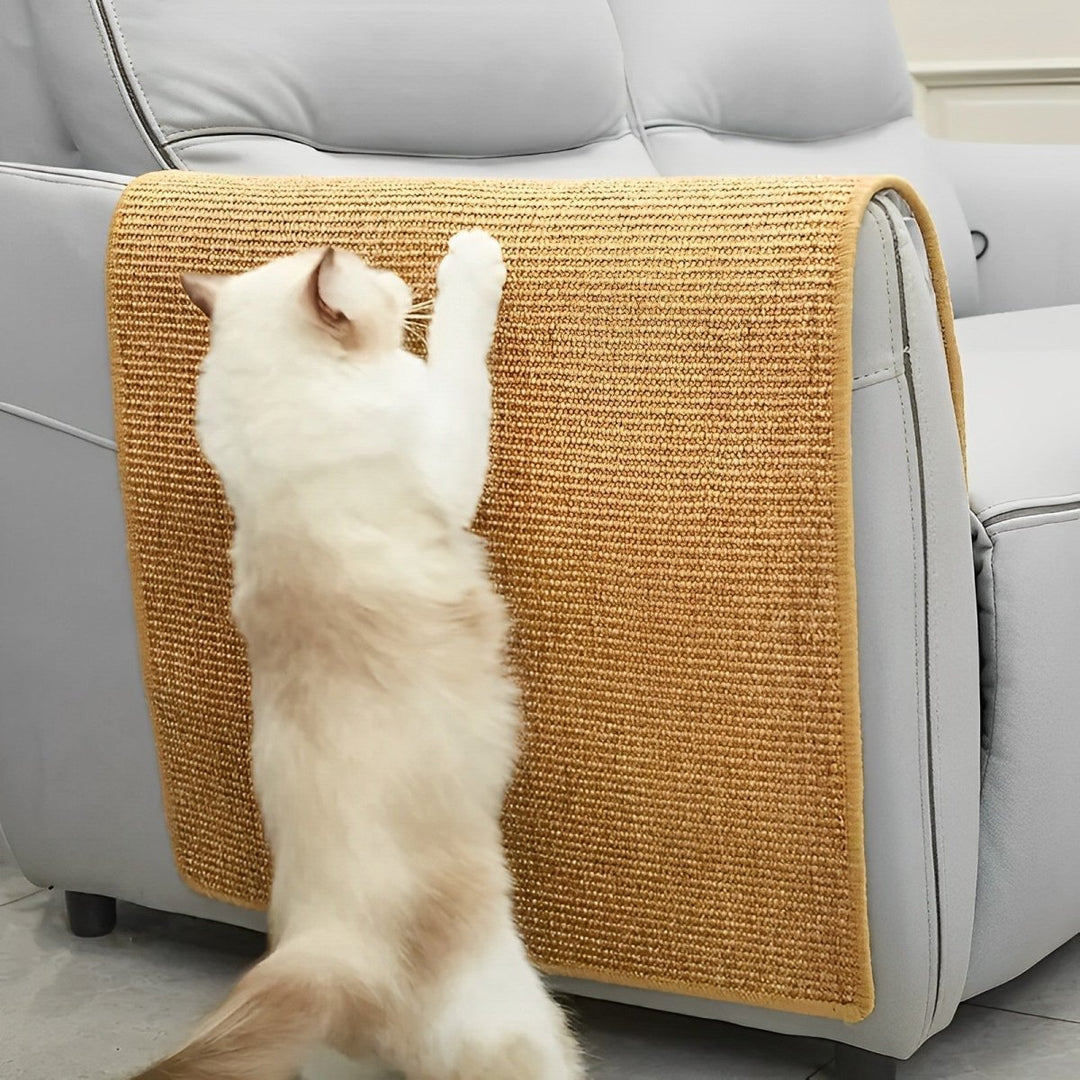 Modern Cat Scratcher for Claw Care &amp; Play