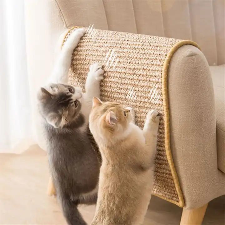 Modern Cat Scratcher for Claw Care &amp; Play