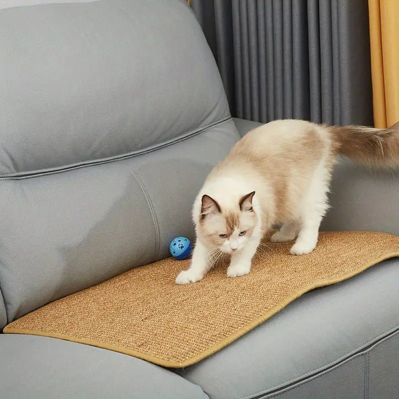 Modern Cat Scratcher for Claw Care &amp; Play