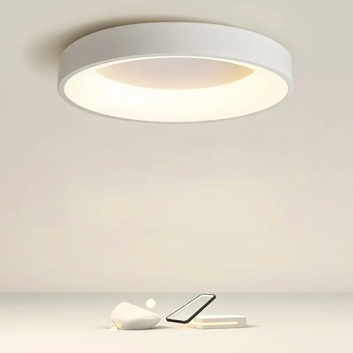 Modern LED Ceiling Lamp in Scandinavian Style