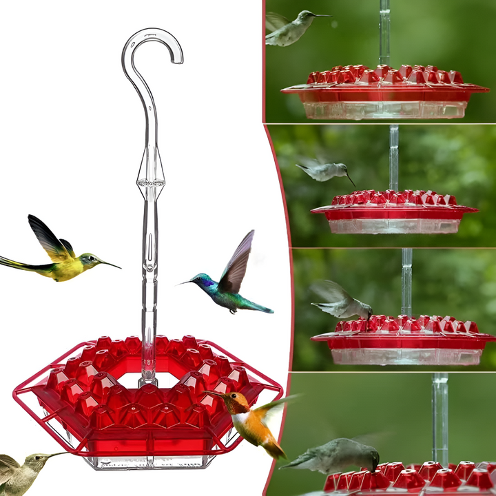 Niki | Ant Proof Hummingbird Feeder with Bee-Resistant Ports