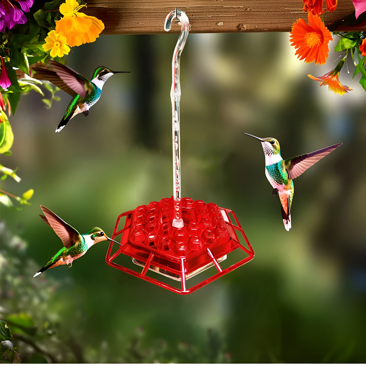 Niki | Ant Proof Hummingbird Feeder with Bee-Resistant Ports