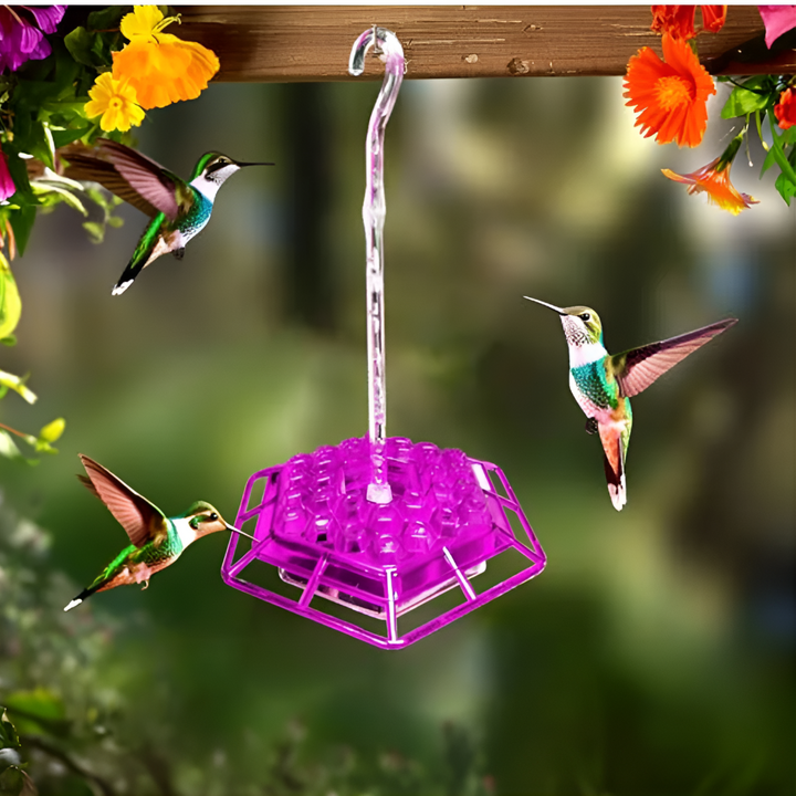 Niki | Ant Proof Hummingbird Feeder with Bee-Resistant Ports