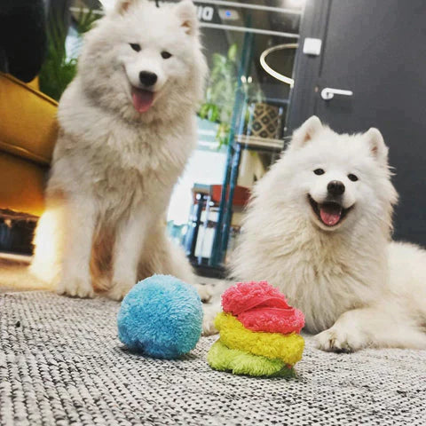 Niki | Automatic Dog Play Ball - Interactive Rolling Ball for Entertainment