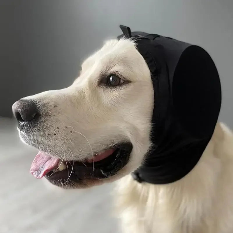 Niki | CalmEars | Noise-Reducing Ear Protectors for Dogs – Comfortable Hearing Protection