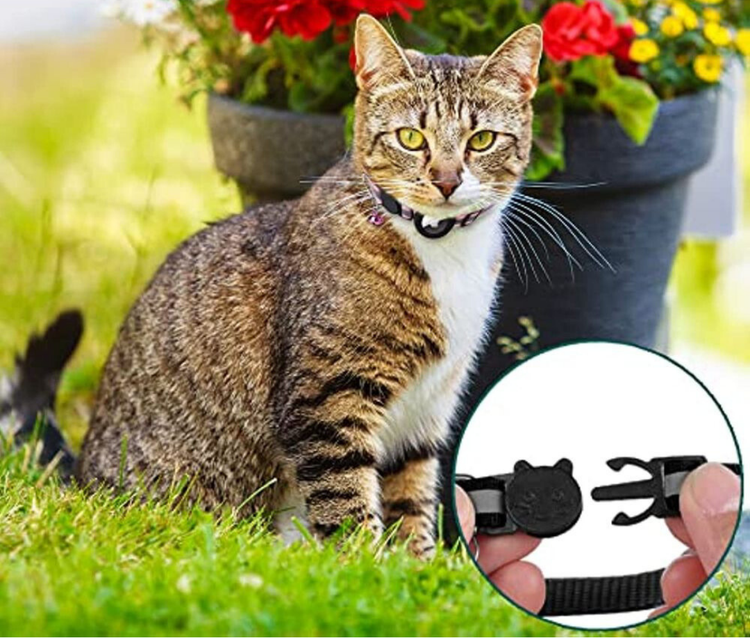 Niki | Cat GPS Tracking Collar | Quick Release Lock, Reflective Design &amp; Durable for Outdoor Safety Adventures