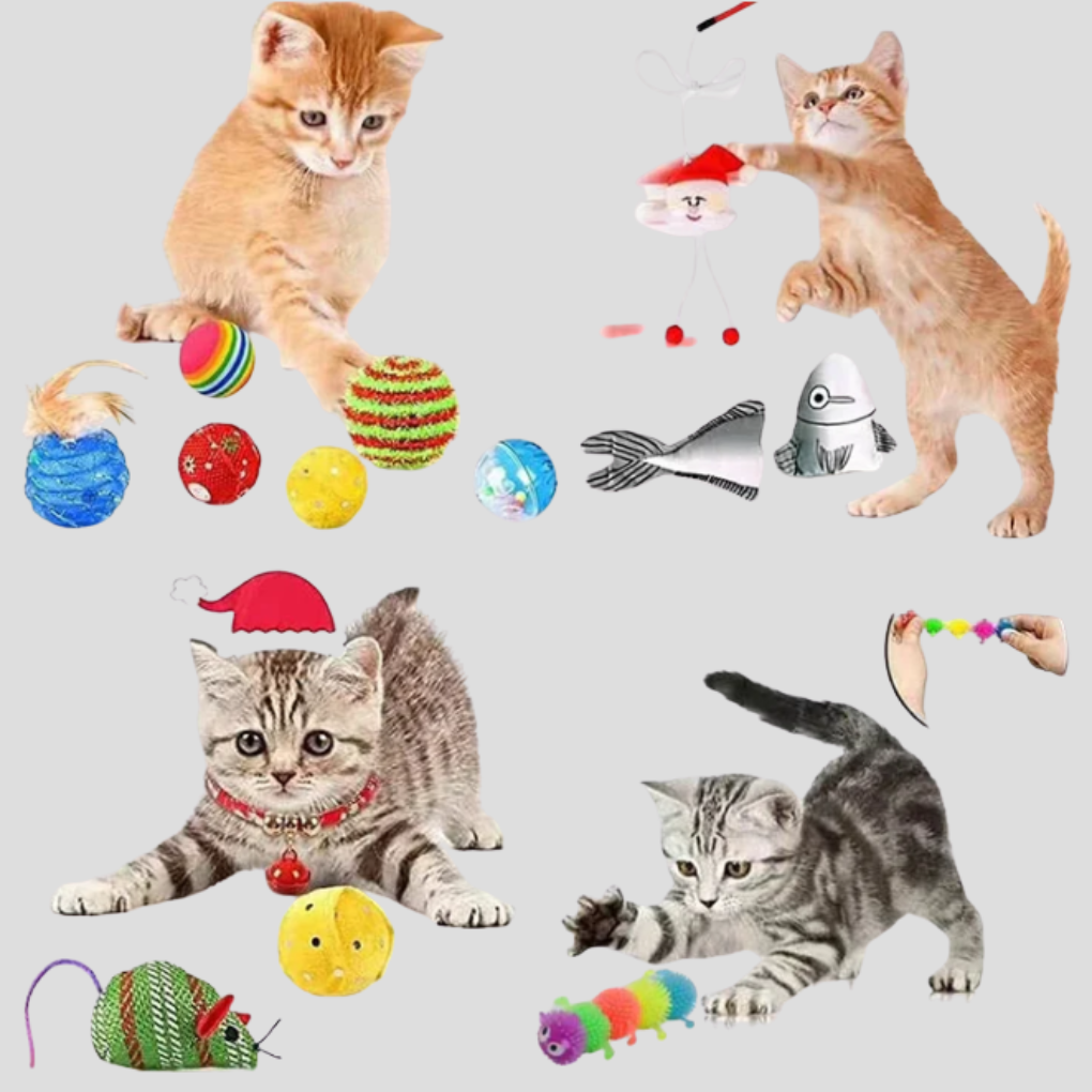 Niki | Cat Toy Advent Calendar - Interactive Countdown Kit