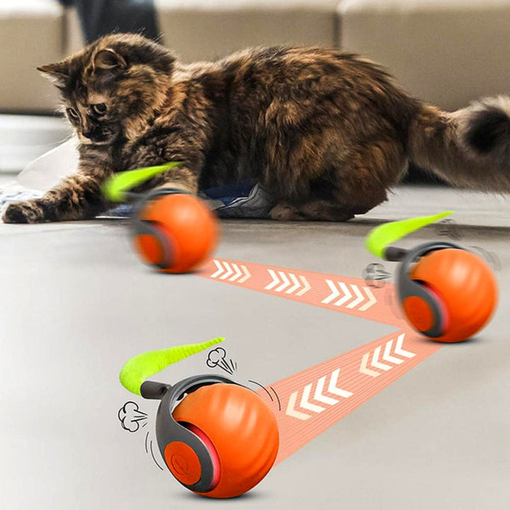 Niki | Cat Toy Ball - Automatic Rolling Interactive Play