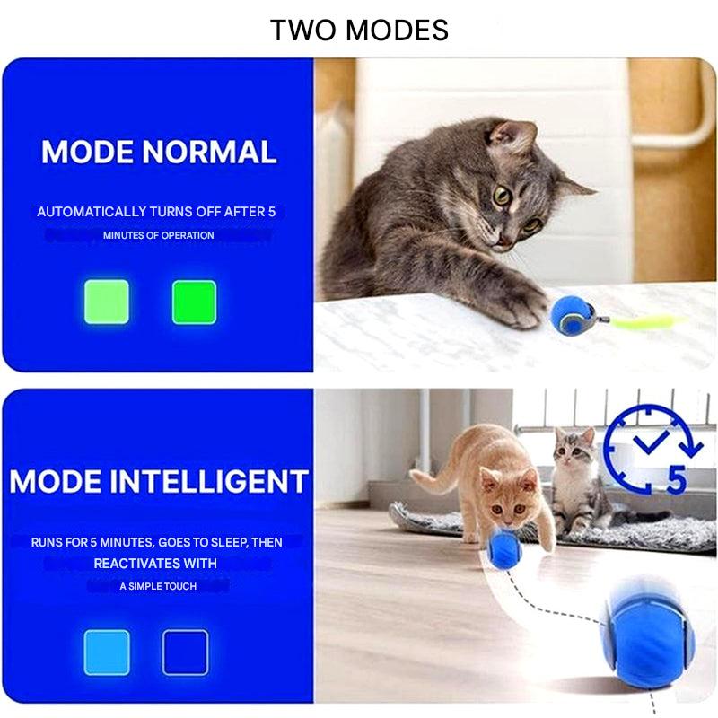 Niki | Cat Toy Ball - Automatic Rolling Interactive Play
