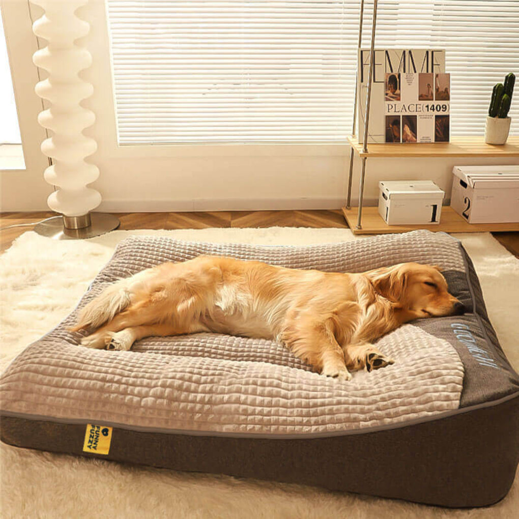 Niki | Dog Bed with Spine Support Cushion