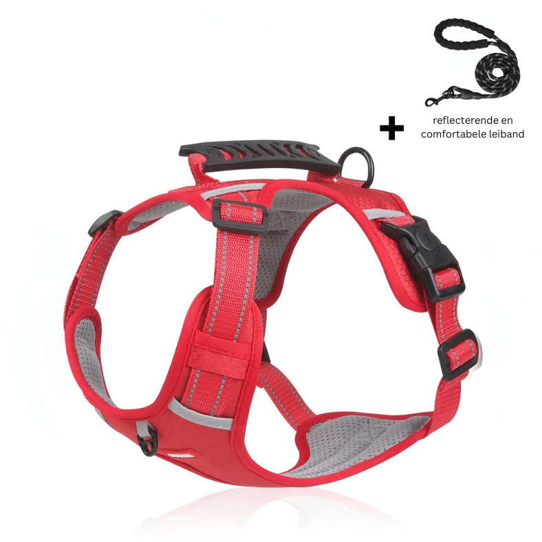 Niki | Dog Harness with Reflective Straps for Safety
