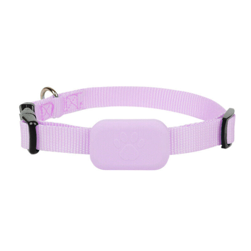 Niki | Dogs & Cats GPS Tracker Collar Real-Time Location