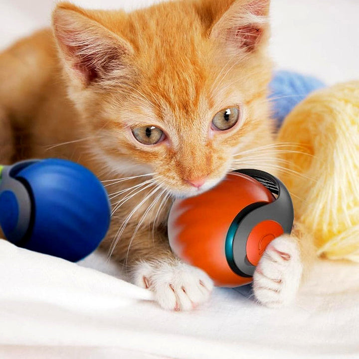 Niki | Interactive Toy for Cats – Self-Rotating Ball with Motion Sensor