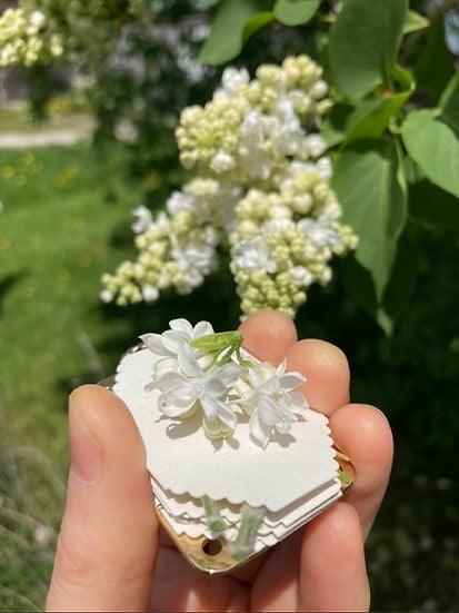 Niki | Mini Flower Press | Compact Botanical Keepsake Maker | Portable Craft Tool
