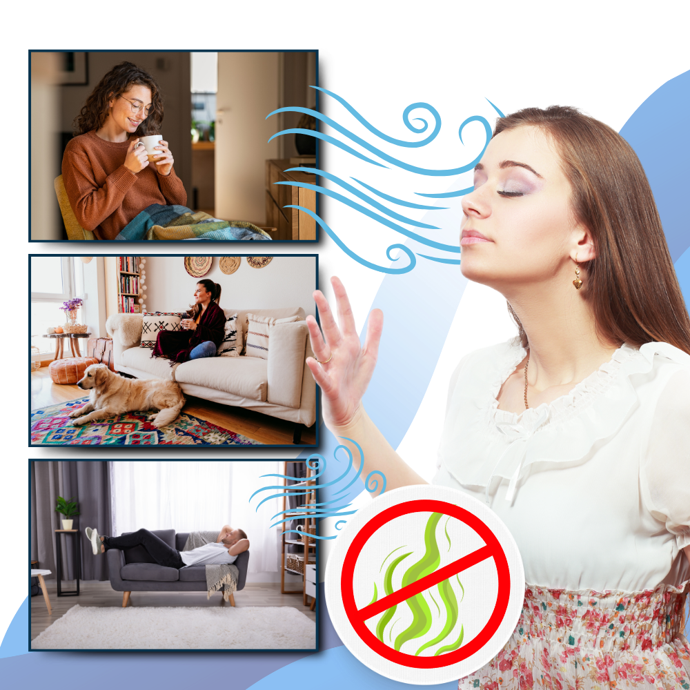 Niki | Multi-Surface UV Disinfectant Bulb – Strongest Bed Bug Killer for Home &amp; Travel Use