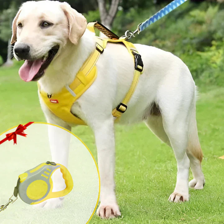 Niki | No-Pull Dog Harness with Padded Comfort and Reflective Strips