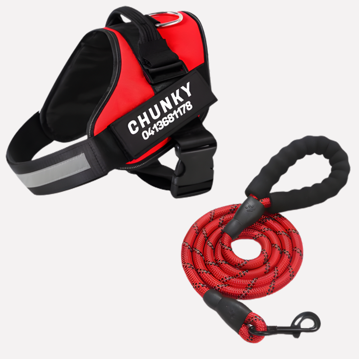 Niki | Personalized No-Pull Dog Harness with Front Clip