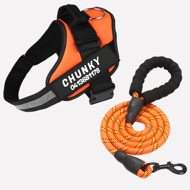 Niki | Personalized No-Pull Dog Harness with Front Clip