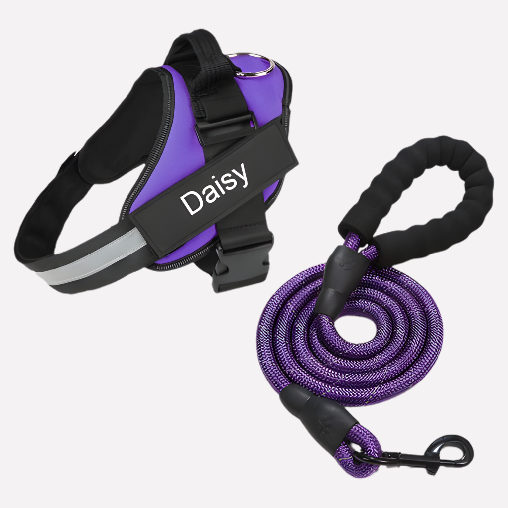 Niki | Personalized No-Pull Dog Harness with Front Clip