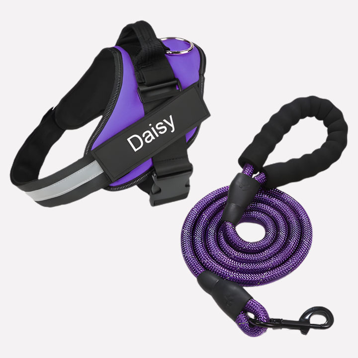 Niki | Personalized No-Pull Dog Harness with Front Clip