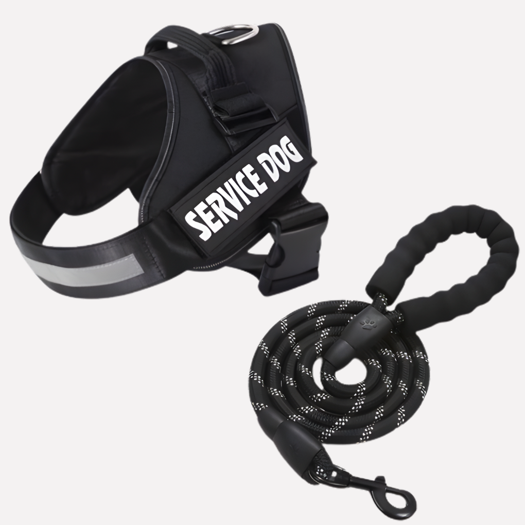 Niki | Personalized No-Pull Dog Harness with Front Clip