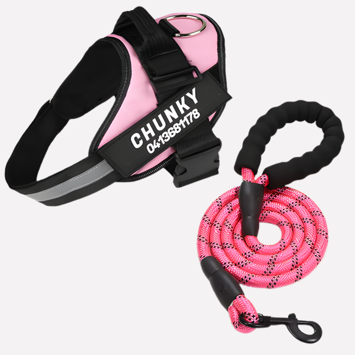 Niki | Personalized No-Pull Dog Harness with Front Clip