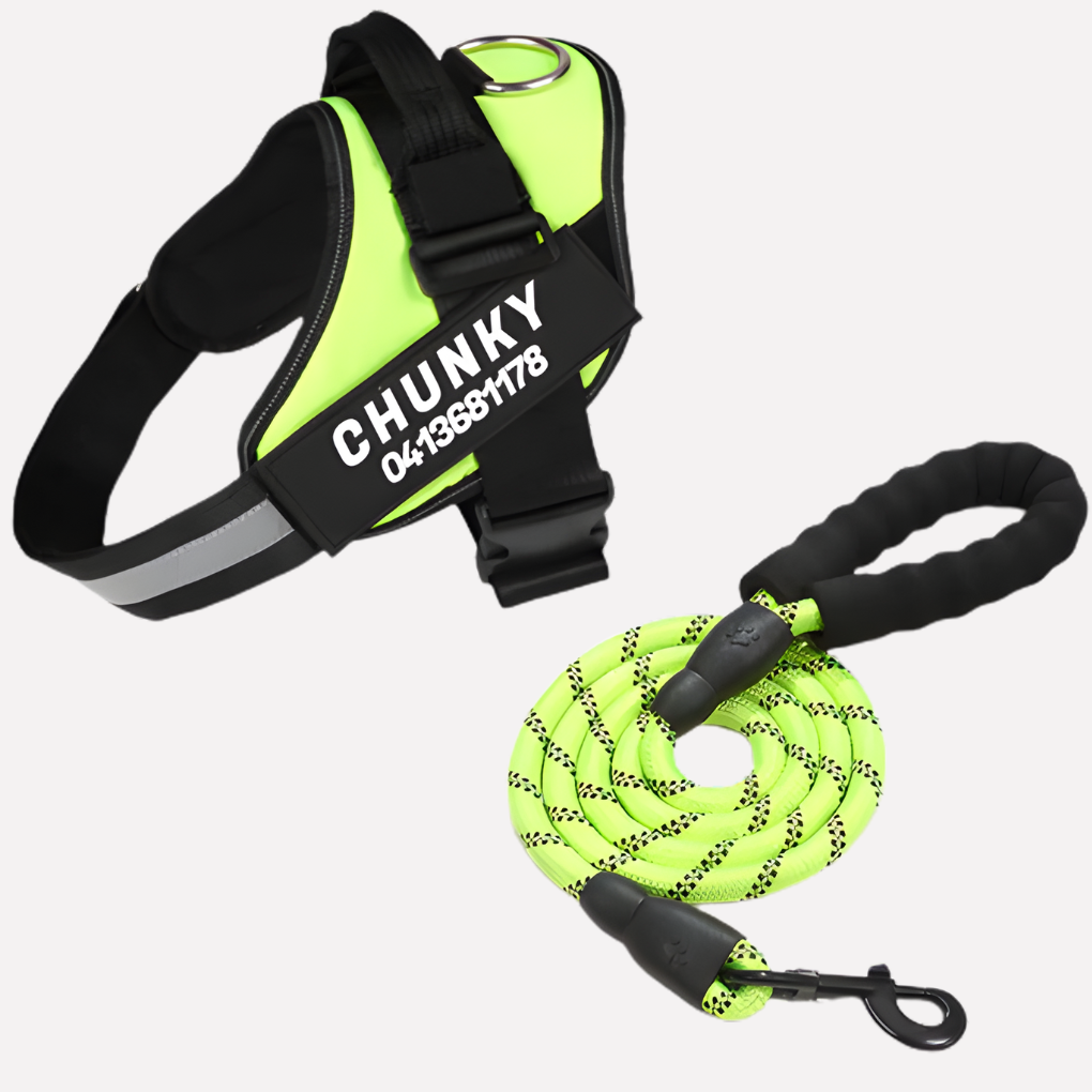 Niki | Personalized No-Pull Dog Harness with Front Clip