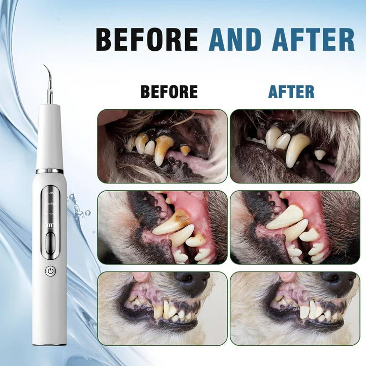 Niki | Pet Oral Cleaning Tool for Fresh Breath &amp; Grooming Care