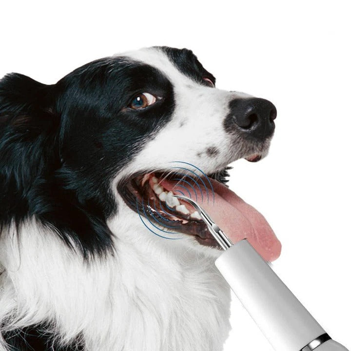 Niki | Pet Oral Cleaning Tool for Fresh Breath &amp; Grooming Care
