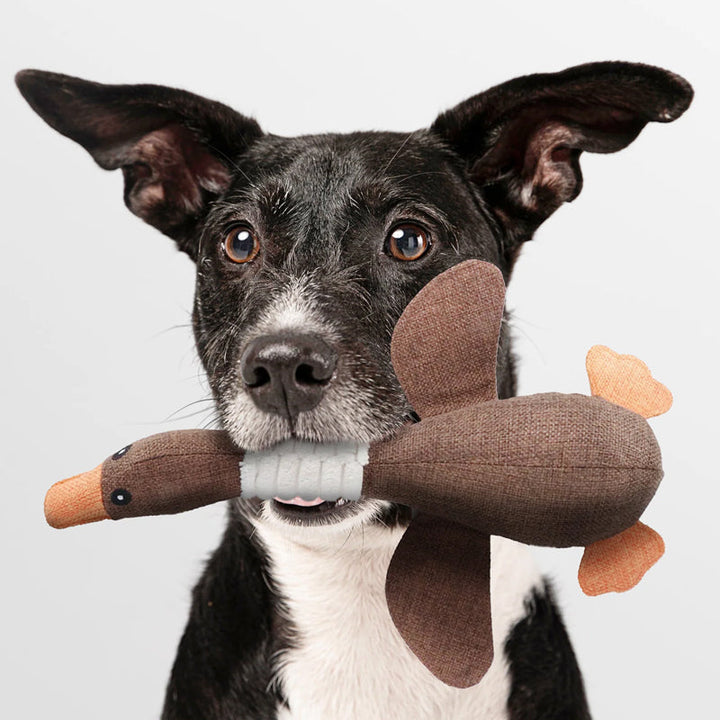 Niki | Plush Duck Dog Toy for Interactive Play