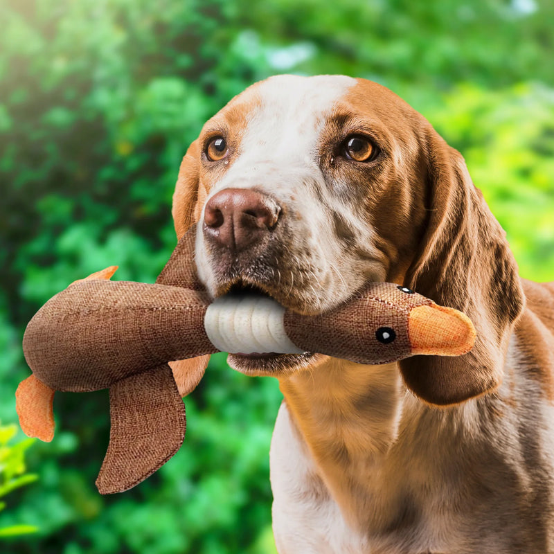 Niki | Plush Duck Dog Toy for Interactive Play