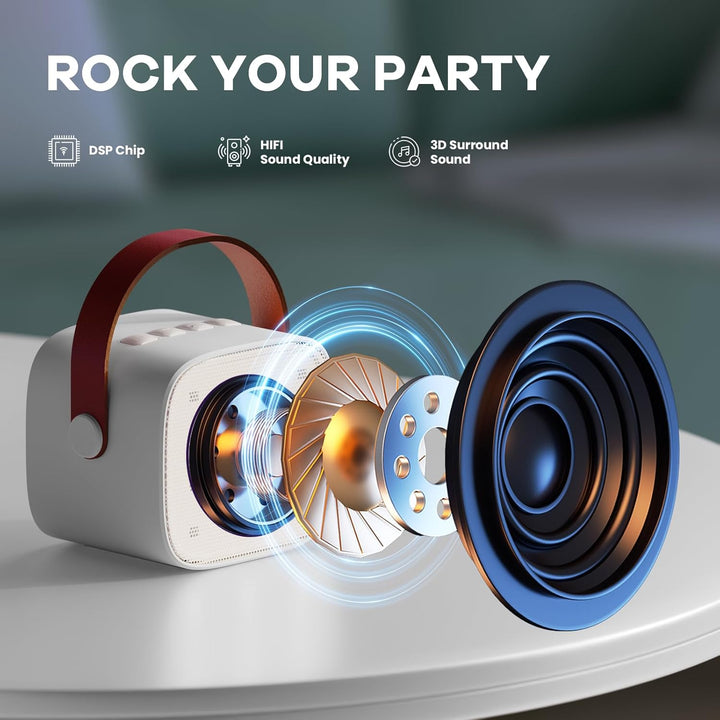 Niki | Portable Mini Karaoke Machine with Bluetooth Speaker and 2 Wireless Microphones – Veylo