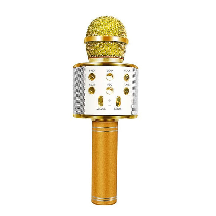 Niki | Rechargeable Wireless Bluetooth Karaoke Microphone