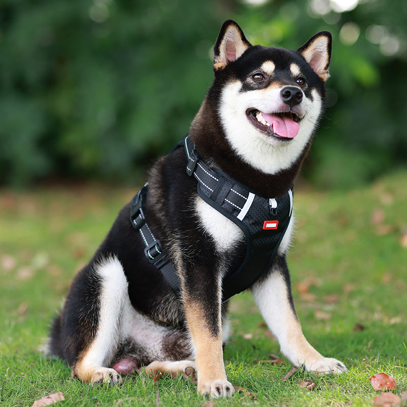 Niki | Reflective Dog Harness | No-Pull Adjustable Vest