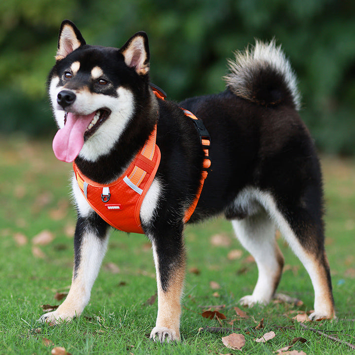 Niki | Reflective Dog Harness | No-Pull Adjustable Vest