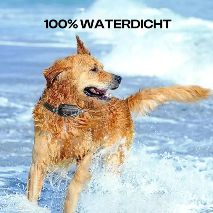 Niki | Remote Controlled Training Collar for Dogs