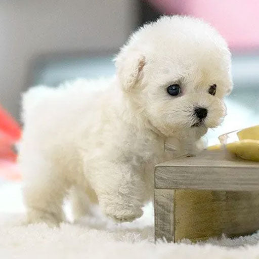 Niki | Robot Puppy Realistic Dog Interactive Plush AI Dog Robot