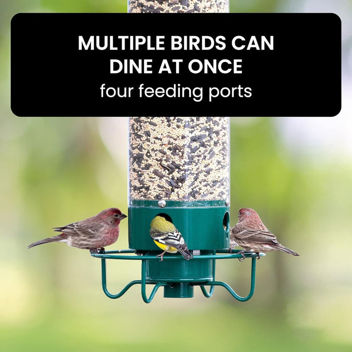 Niki | Squirrel-Proof Bird Feeder with Multiple Feeding Ports