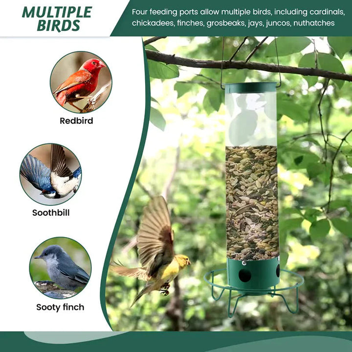 Niki | Squirrel-Resistant Bird Feeder with Multiple Feeding Ports