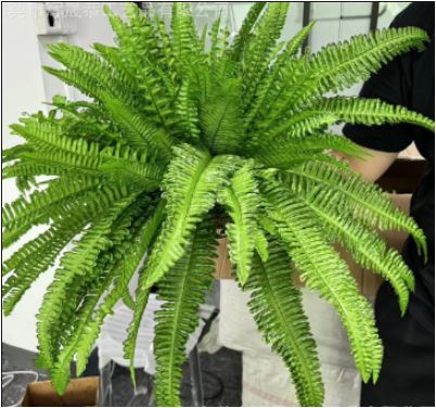 Niki | UV Resistant Lifelike Artificial Boston Fern