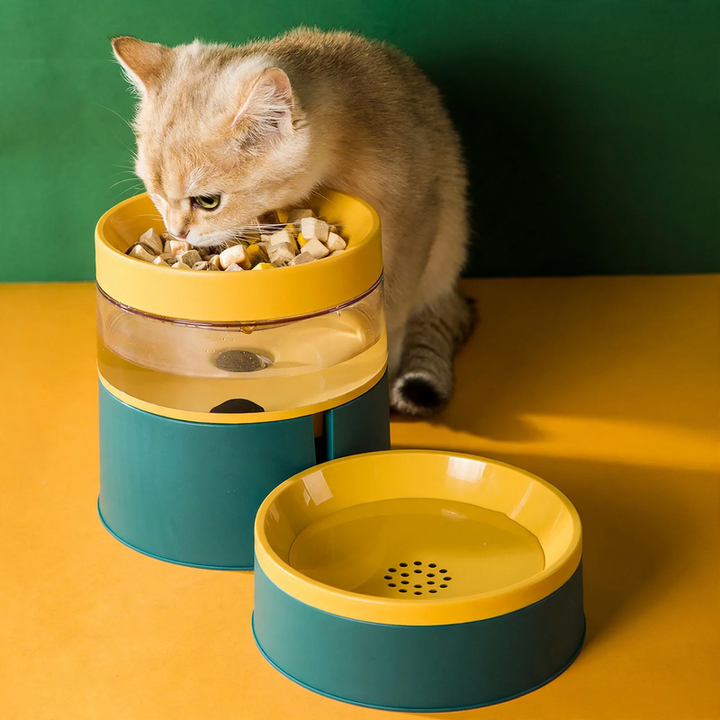 Non-Slip Double Cat Bowl for Food and Water