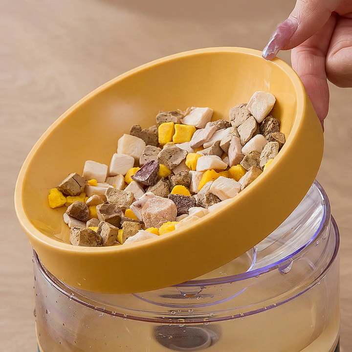 Non-Slip Double Cat Bowl for Food and Water