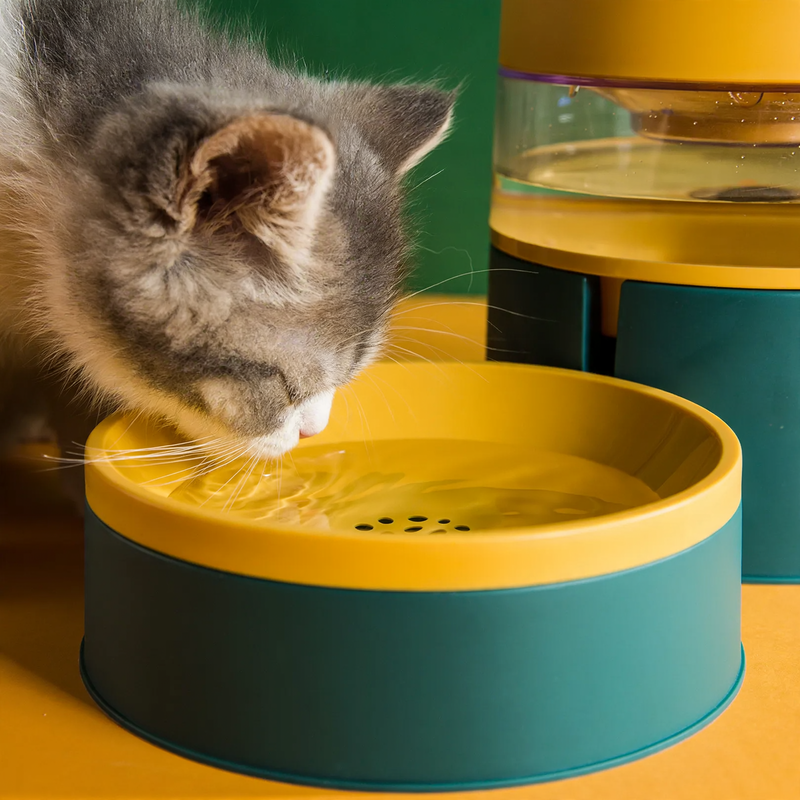 Non-Slip Double Cat Bowl for Food and Water