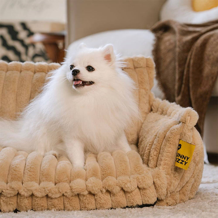 Orthopedic Dog Bed CaniSofa – Joint Support, Washable Cover, Comfortable Headrest