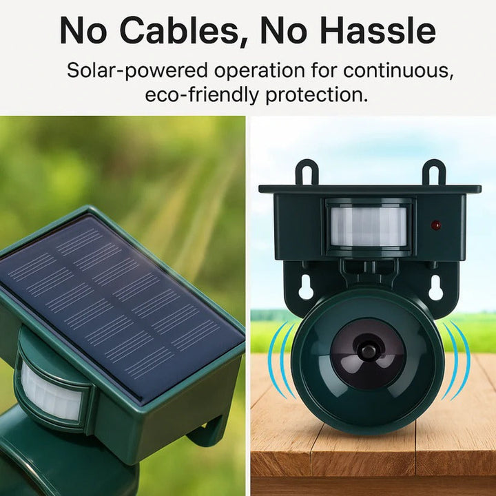 Outdoor Motion Sensor Bird &amp; Pigeon Deterrent Repeller