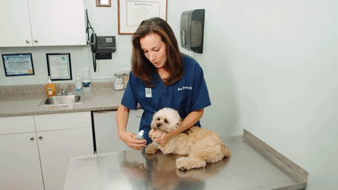 PawGuard Pro Nail Clippers with Smart Quick Sensors