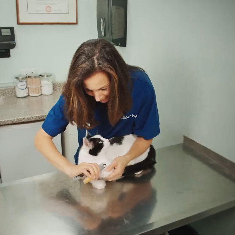 PawGuard Pro Nail Clippers with Smart Quick Sensors