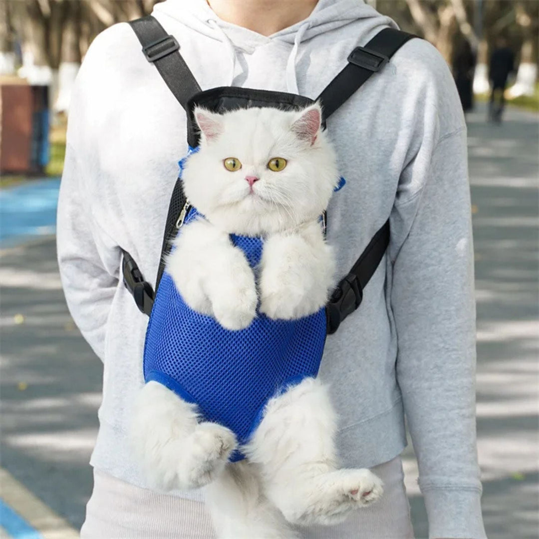 Pet Carrier for Cats and Small Dogs | Comfortable Travel for Your Furry Friend