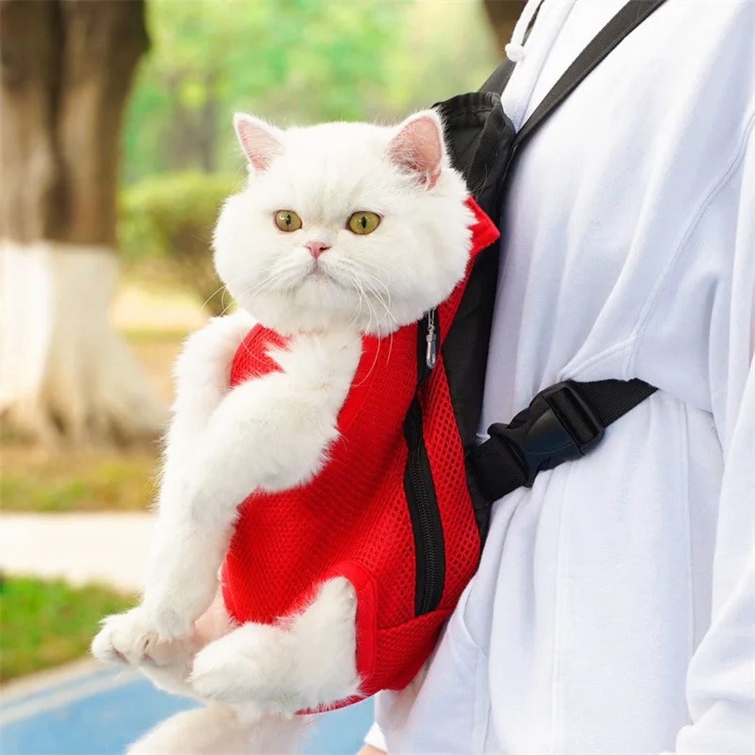 Pet Carrier for Cats and Small Dogs | Comfortable Travel for Your Furry Friend